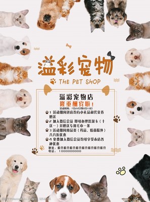 專業(yè)寵物服務(wù)，呵護愛寵健康與快樂